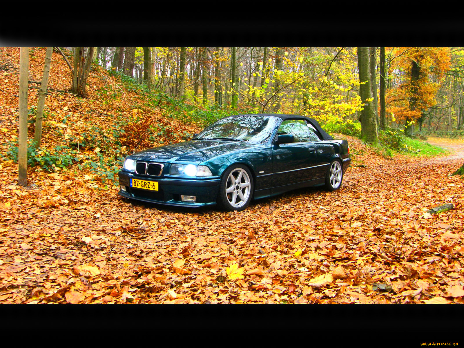 , bmw